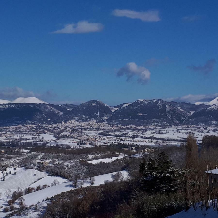 Il Ciliegio Del Pellegrino Lejlighed Gubbio Eksteriør billede